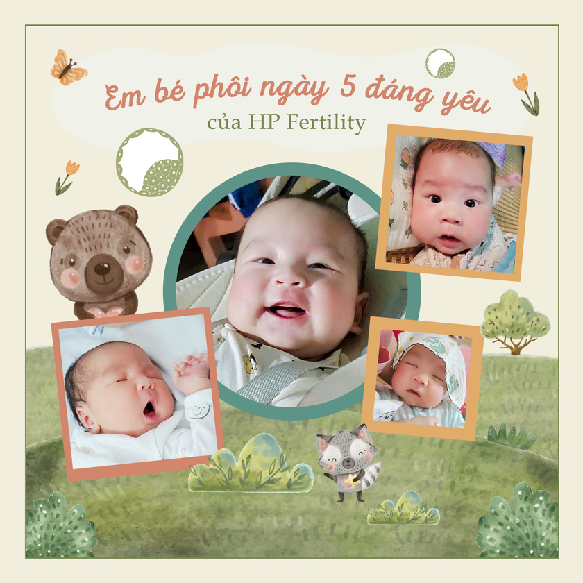 Em bé HP Fertility